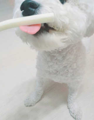 edith님이 올린 리뷰 사진 3