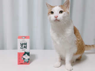 깜꼬냥님이 올린 리뷰 사진 2