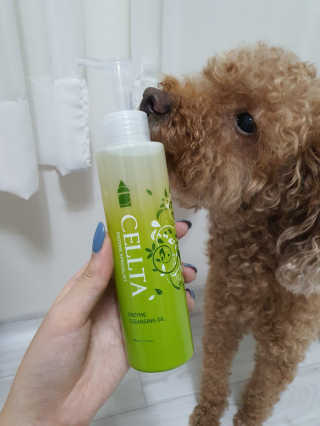 순딩한쿠키님이 올린 리뷰 사진 3