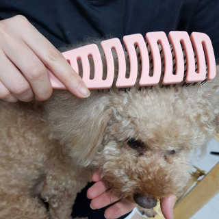 진진바님이 올린 리뷰 사진 4