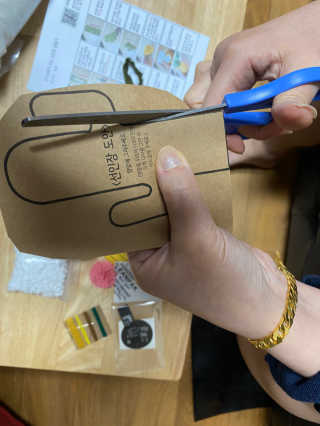 삭스플리즈 [DIY] 공기정화 선인장 양말인형 — 5점을 준 리뷰어가 2020년 4월 올린 사용 사진