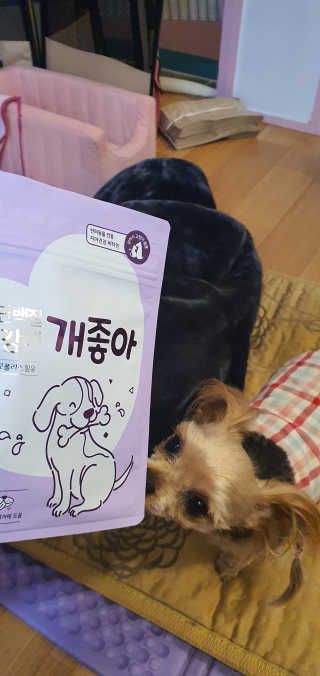My Pet Care 천연단백질 치아건강에 개좋아 — 5점을 준 리뷰어가 2020년 11월 올린 사용 사진