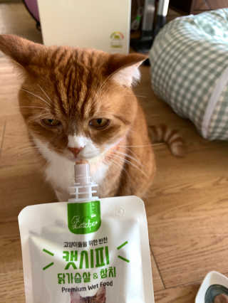선짱님이 올린 리뷰 사진 4