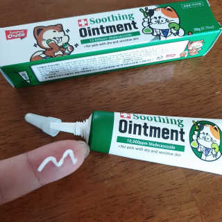 초록누리님이 올린 리뷰 사진 3