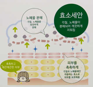yanylj님이 올린 리뷰 사진 4