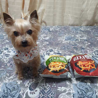 솜희님이 올린 리뷰 사진 4