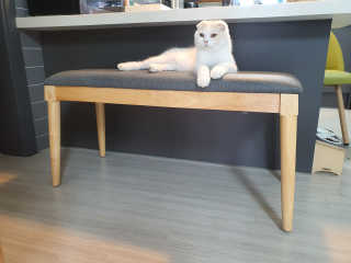 하이님이 올린 리뷰 사진 2