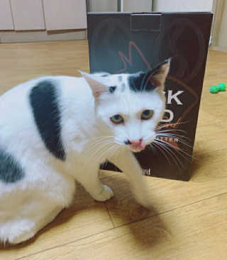 다니님이 올린 리뷰 사진 2