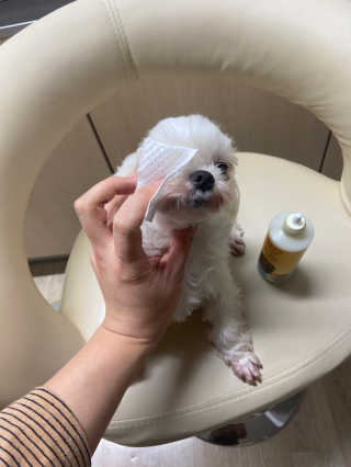 yoniyoni님이 올린 리뷰 사진 3