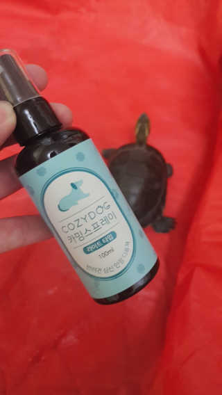 꽃다운하늘맘님이 올린 리뷰 사진 4