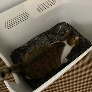 러브굿님이 올린 리뷰 사진 1