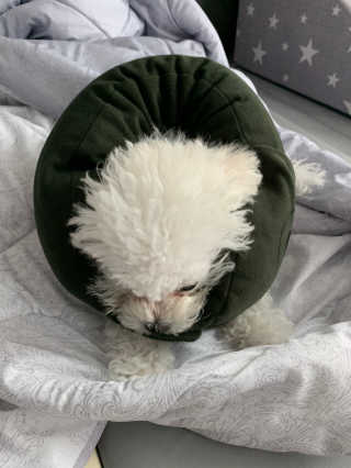 큐티윤님이 올린 리뷰 사진 2