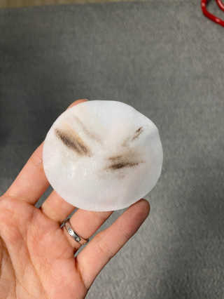 아라쭈님이 올린 리뷰 사진 2