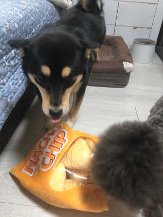오리님이 올린 리뷰 사진 3