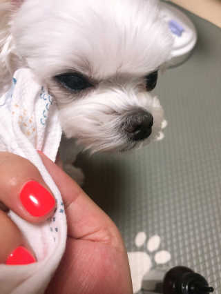 뚜덩맘님이 올린 리뷰 사진 4