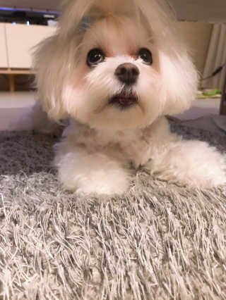 윤퍼플님이 올린 리뷰 사진 2