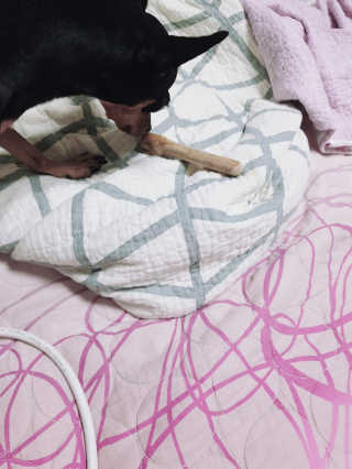 도도님이 올린 리뷰 사진 1