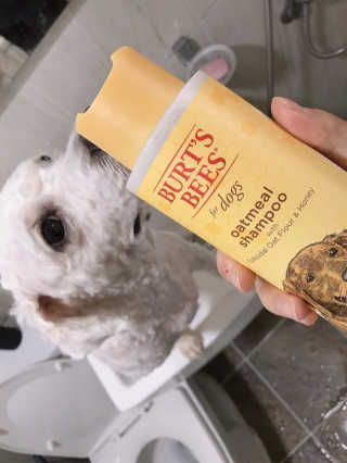 루이맘님이 올린 리뷰 사진 2