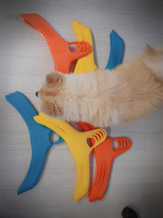 좋아님이 올린 리뷰 사진 1