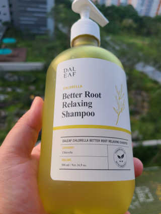 달리프 클로렐라 베러 루트 릴렉싱 샴푸 500ml — 5점을 준 리뷰어가 2020년 9월 올린 사용 사진