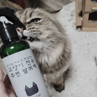 Isabelle Lee님이 올린 리뷰 사진 2