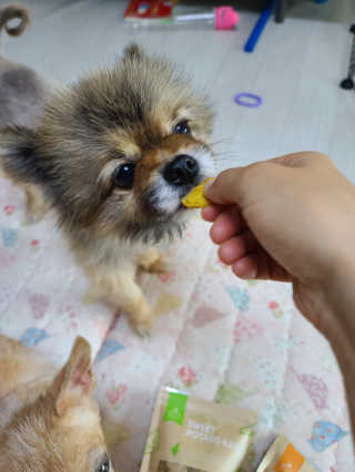 자옥이언니님이 올린 리뷰 사진 2
