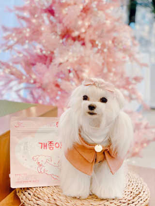 My Pet Care 천연단백질 관절건강에 개좋아 — 4점을 준 리뷰어가 2020년 12월 올린 사용 사진