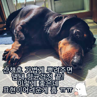 버츠비 이치수딩 스프레이 — 5점을 준 리뷰어가 2020년 9월 올린 사용 사진