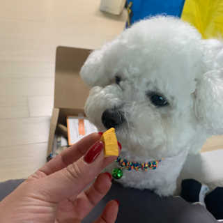 쪄니호잇님이 올린 리뷰 사진 2