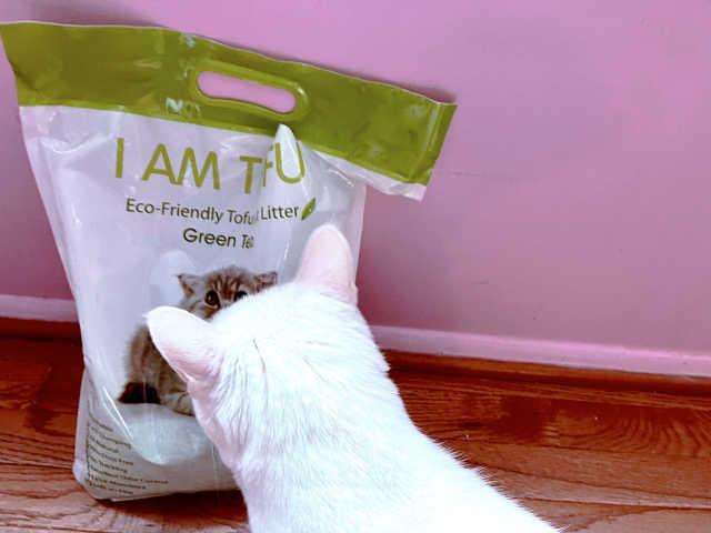 KAMY 's ZOO I AM TOFU 프리미엄 천연 두부 고양이 쓰레기 6LB 리뷰 사진