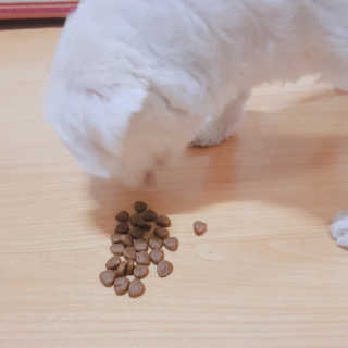 지니야님이 올린 리뷰 사진 2