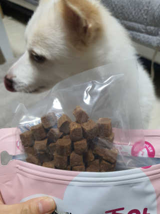 My Pet Care 천연단백질 관절건강에 개좋아 — 5점을 준 리뷰어가 2020년 12월 올린 사용 사진
