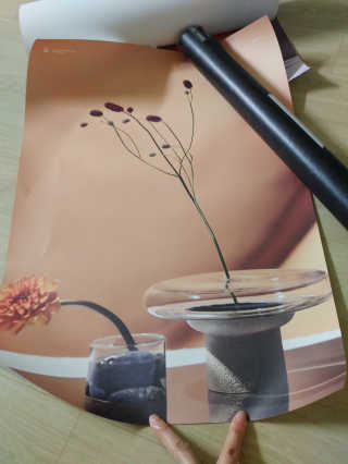 라운디드 코리아 [라운디드] 원더플라워 포스터 6종 중 2종 랜덤발송 — 4점을 준 리뷰어가 2020년 10월 올린 사용 사진
