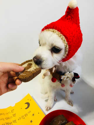Lily님이 올린 리뷰 사진 2