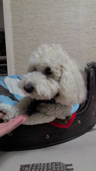 캐스퍼님이 올린 리뷰 사진 3
