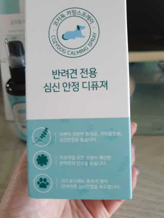 빠빠야님이 올린 리뷰 사진 4