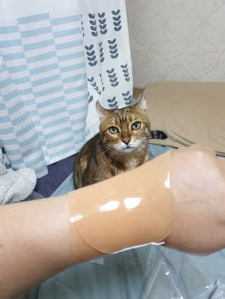 위드님이 올린 리뷰 사진 2