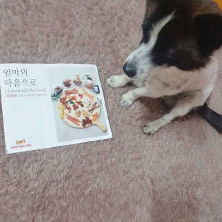 노이님이 올린 리뷰 사진 2