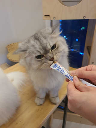 검은기름님이 올린 리뷰 사진 4
