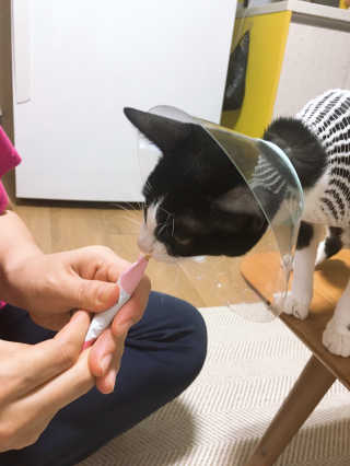 심정님이 올린 리뷰 사진 1
