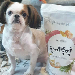 펫토리아 한끼뚝딱 프리미엄 강아지사료_그레인프리/면역력케어 — 5점을 준 리뷰어가 2020년 6월 올린 사용 사진