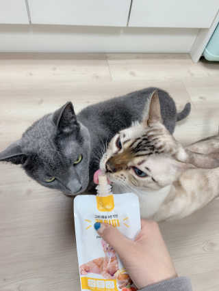 어린이님이 올린 리뷰 사진 2