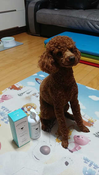 너구리양님이 올린 리뷰 사진 4