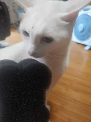 이누닷님이 올린 리뷰 사진 3