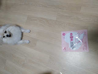 My Pet Care 천연단백질 관절건강에 개좋아 — 5점을 준 리뷰어가 2020년 11월 올린 사용 사진