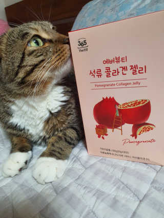 장간님이 올린 리뷰 사진 1