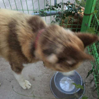 뮬님이 올린 리뷰 사진 3