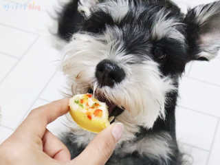 최정임님이 올린 리뷰 사진 2