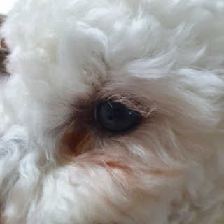 아밍이다님이 올린 리뷰 사진 2