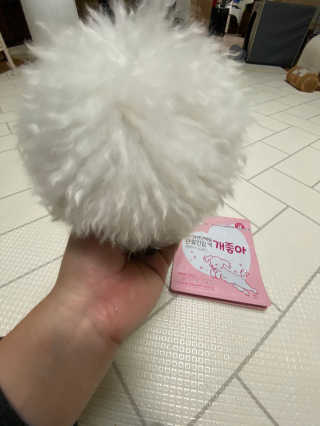 My Pet Care 천연단백질 관절건강에 개좋아 — 5점을 준 리뷰어가 2020년 11월 올린 사용 사진